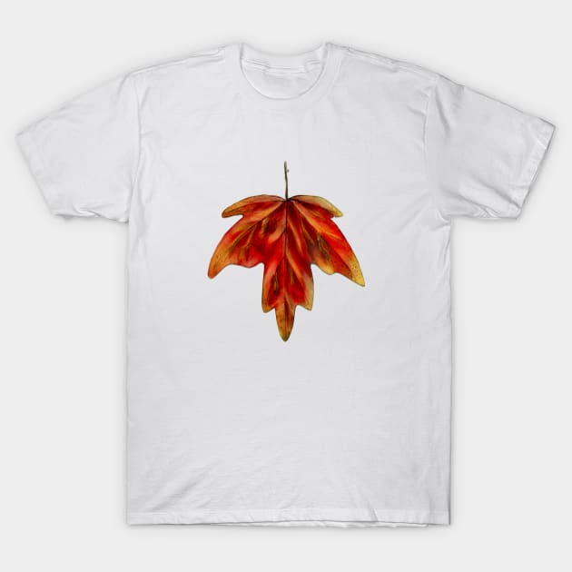 Maple Leaf T-Shirt by LonelyWinters